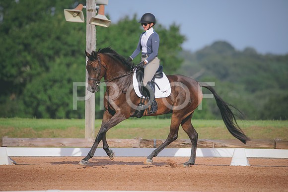 RWP_4378