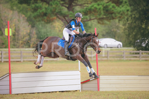 RWP_3085
