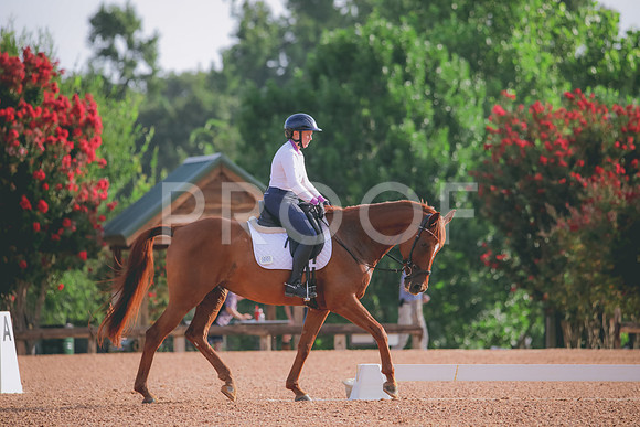 RWP_4296