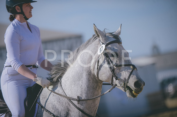 JJS_2616
