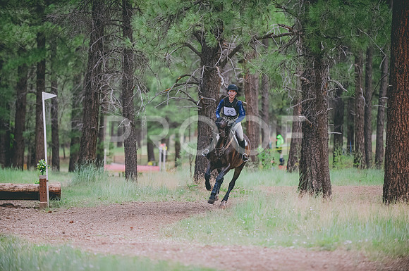 JJS_2796A
