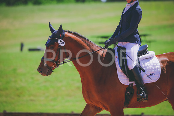 RWP_0222