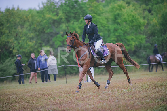 JJS_1466