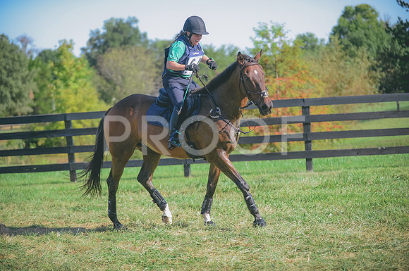 JJS_2294