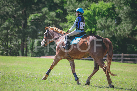 RWP_1355