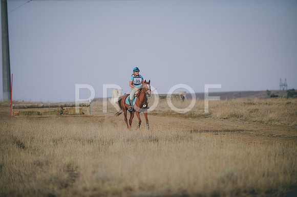 JJS_6185