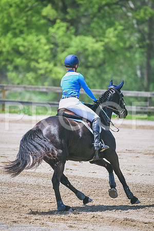 DSC_3719