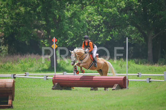 RWP_3906