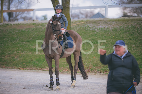 JJS_2814