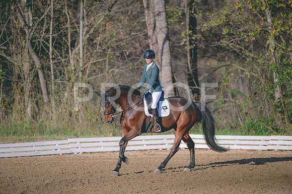 JJS_4188