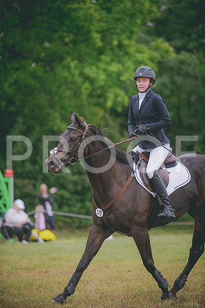 JJS_2018