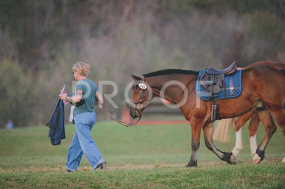 JJS_0929