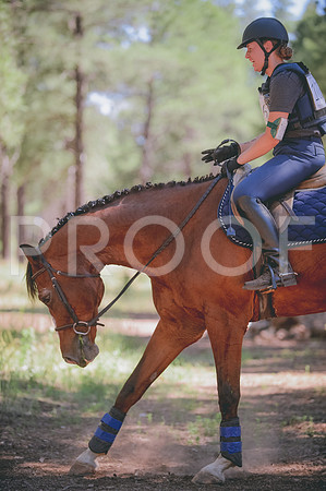 JJS_3487