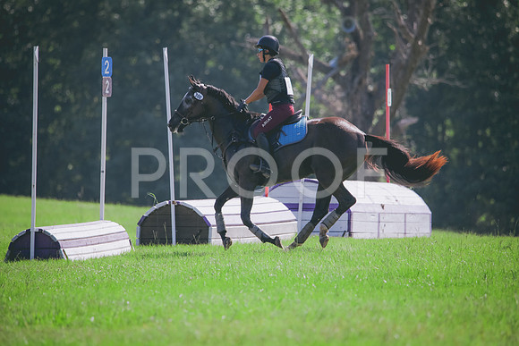 RWP_6445