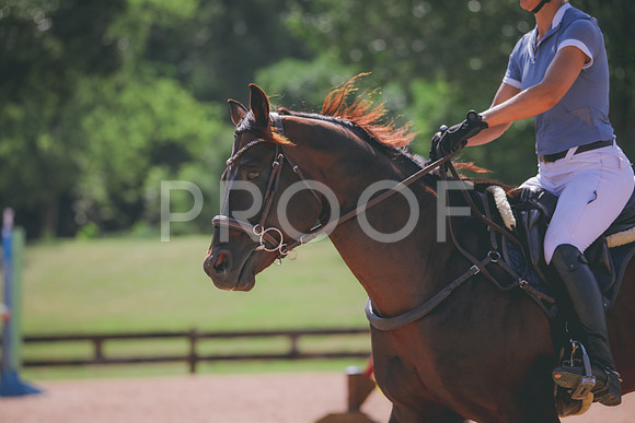 RWP_4973