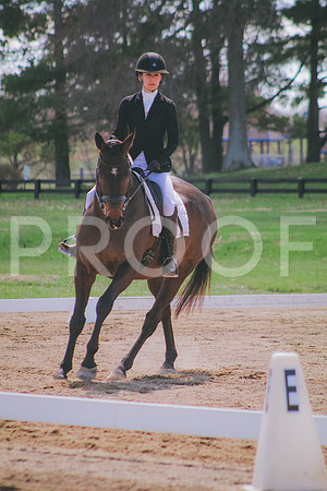 IMG_8789