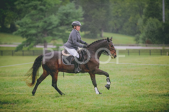 JJS_8295