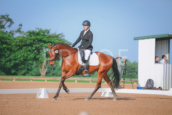 RWP_3774