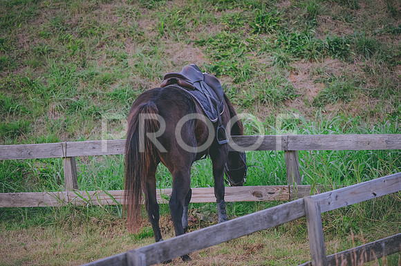 JJS_3846