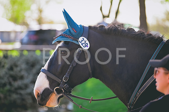 CRB_0835