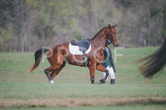 JJS_0870