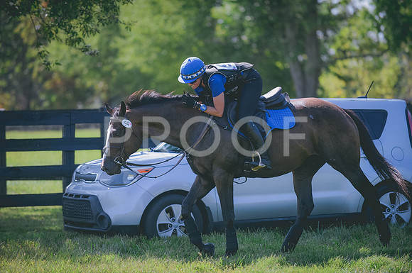 JJS_5000