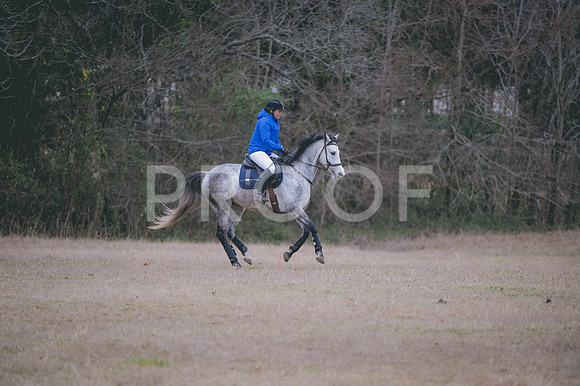 JJS_1163