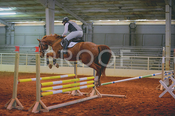 JJS_0732