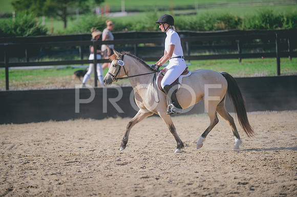 JJS_6768