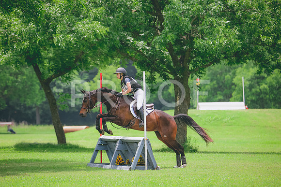 RWP_2656