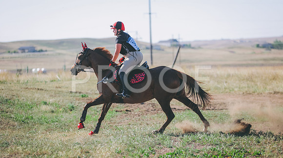 0N0A8085