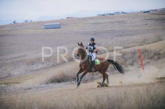 JJS_1339A