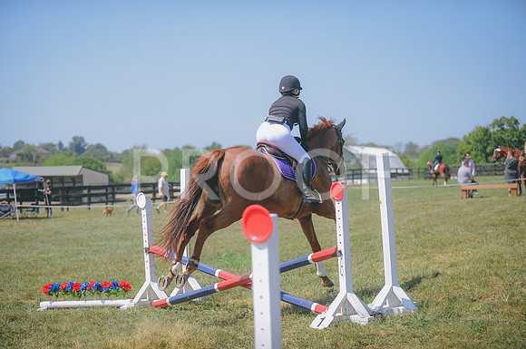 JJS_2446
