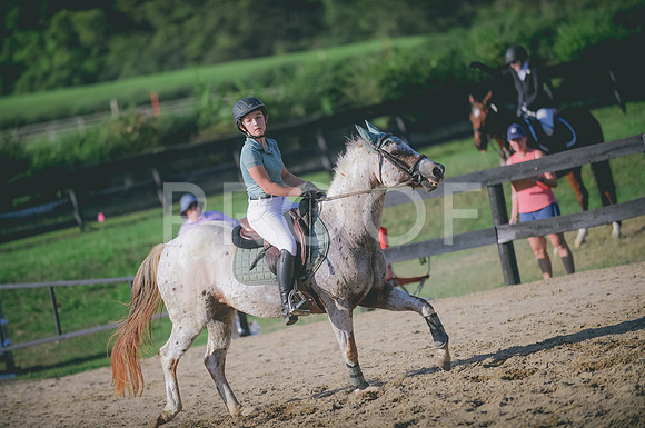 JJS_8141