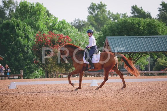 RWP_4282