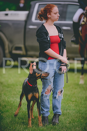 JJS_3197