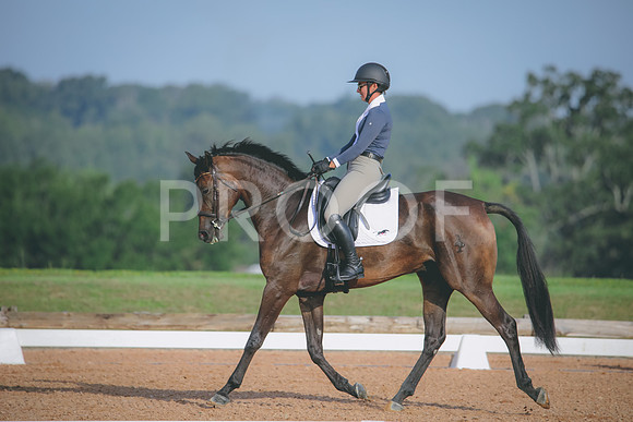 RWP_4406