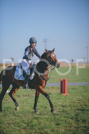 JJS_3393