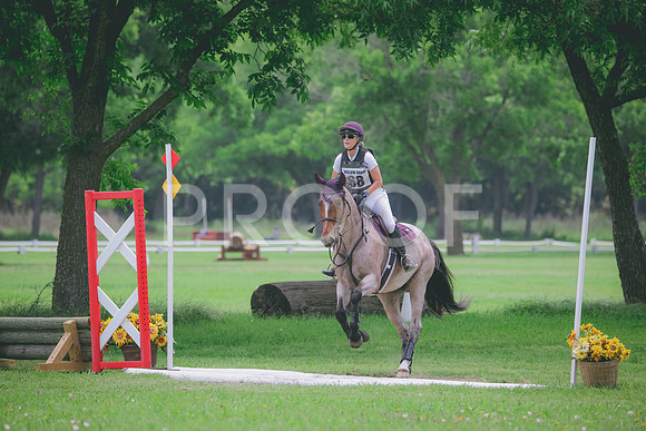 RWP_4037