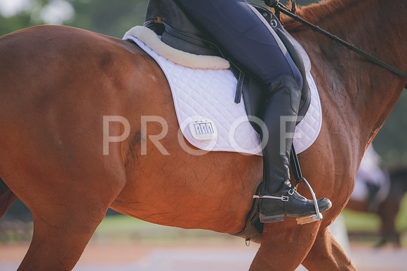 RWP_4287