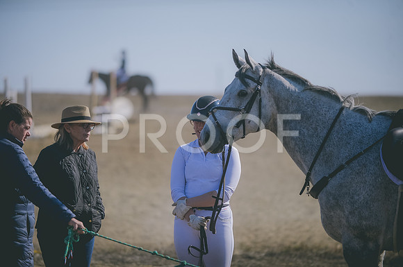 JJS_4339
