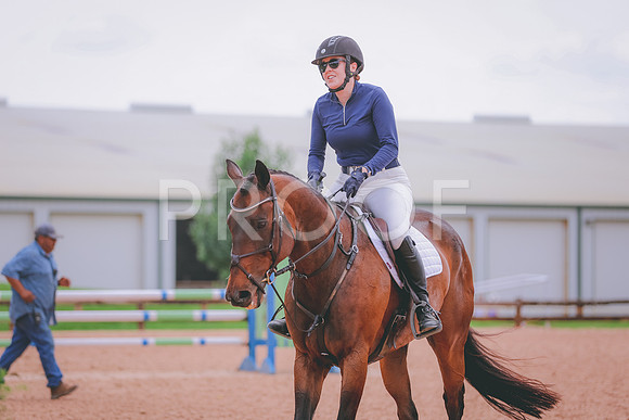 SH3_8872