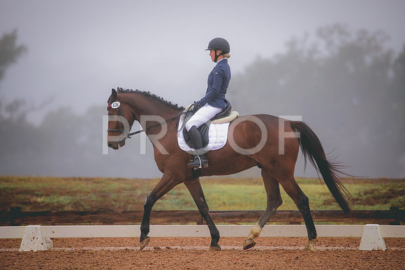 RWP_1138