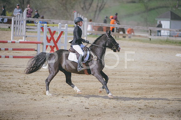 JJS_1483