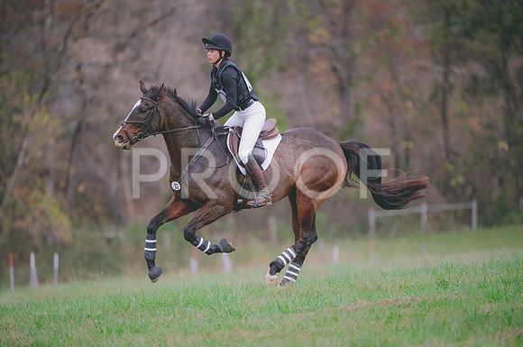 JJS_0842