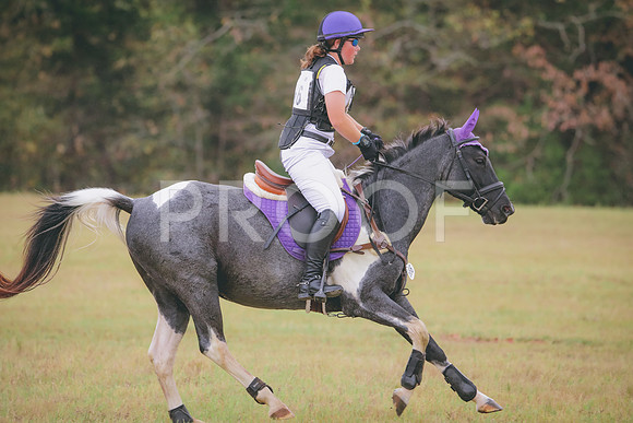 RWP_3369