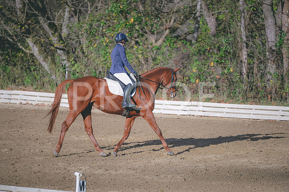 JJS_5402