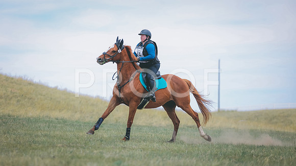 0N0A1418
