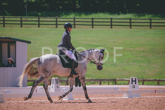 RWP_0248