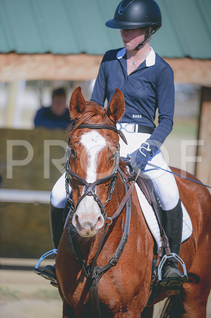 JJS_7540